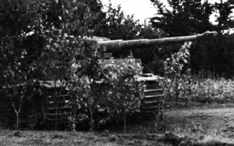 Zamaskowany Tygrys, lato 1944 r. Każdy czołg tego typu był dla Węgrów na wagę złota.